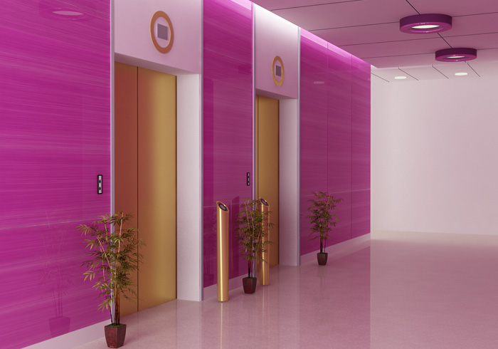 Lift Interiors In India, Architectural Works In India , Stainless Steel Works In India