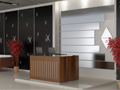 Lift Interiors In India, Architectural Works In India , Stainless Steel Works In India